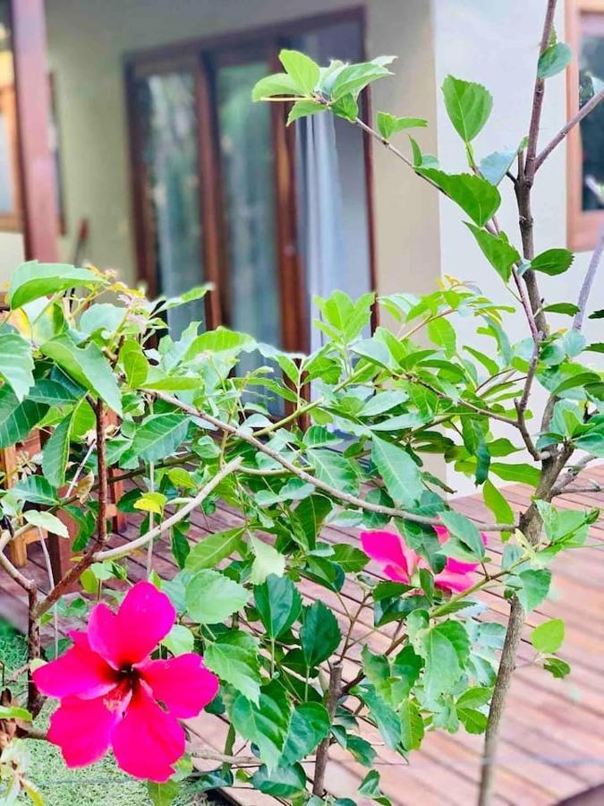 Casa Hibiscus Βίλα Velha Boipeba Εξωτερικό φωτογραφία